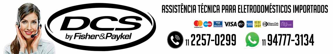 Assistência técnica churrasqueira DCS